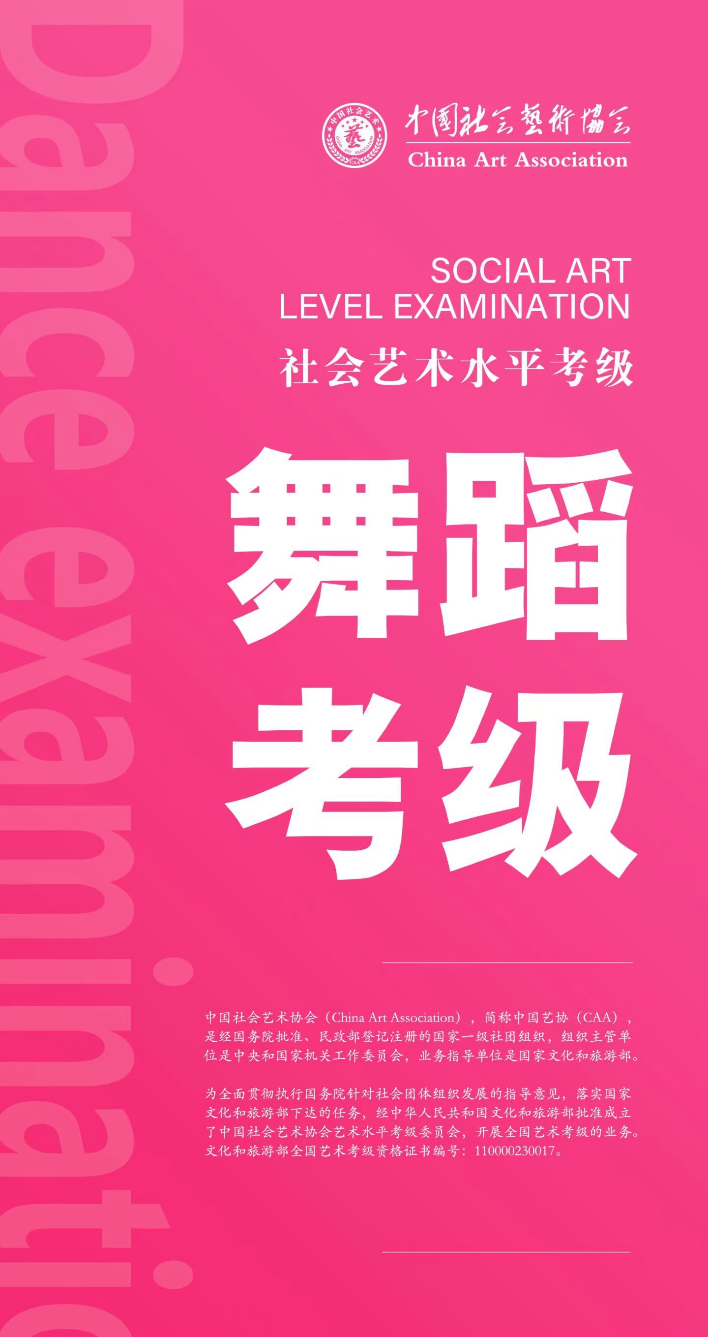 山东艺信网-中国社会艺术协会山东考区